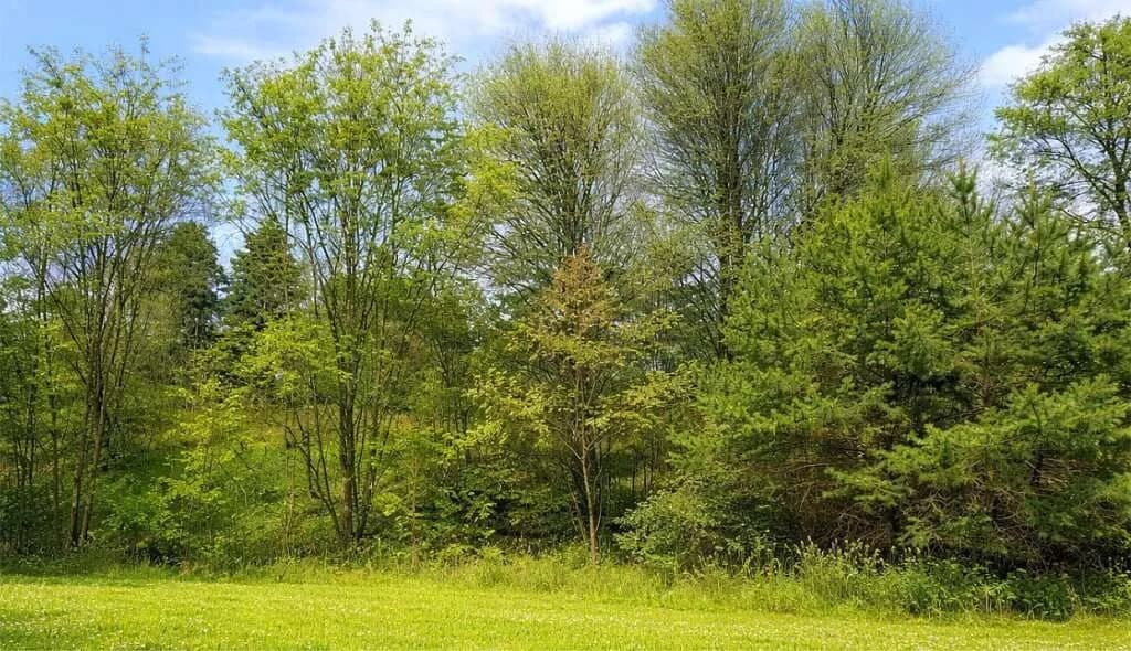 Immobilie kaufen in Hartberg-Fürstenfeld – 640 m², € 3.300.000 – Bild 31 von 42
