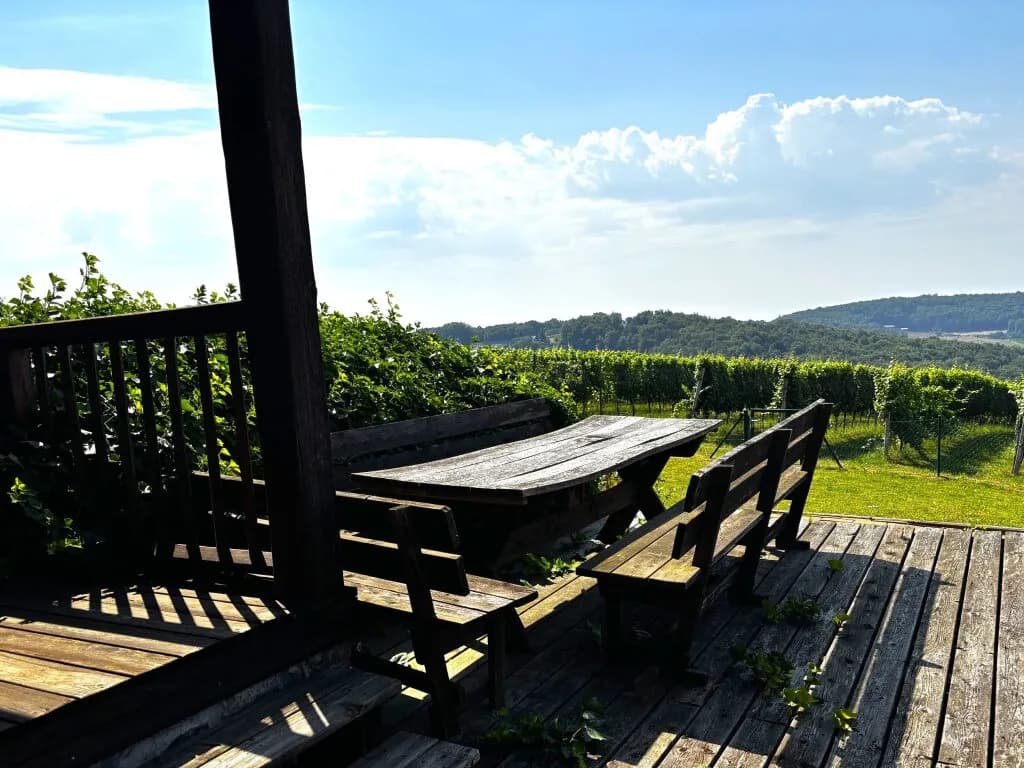 2-Zimmer-Haus kaufen in Südoststeiermark – 65 m², € 548.000 – Bild 15 von 16