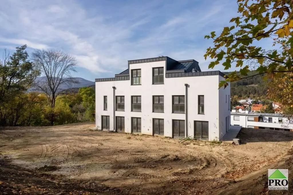 10-Zimmer-Wohnung kaufen in Wiener Neustadt Land – 323,02 m², € 489.000 – Bild 4 von 18