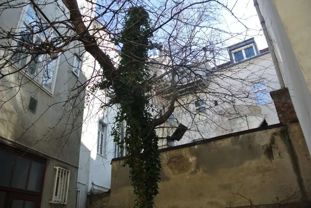 3-Zimmer-Wohnung kaufen in Wien – 63,12 m², € 157.800 – Bild 4 von 5