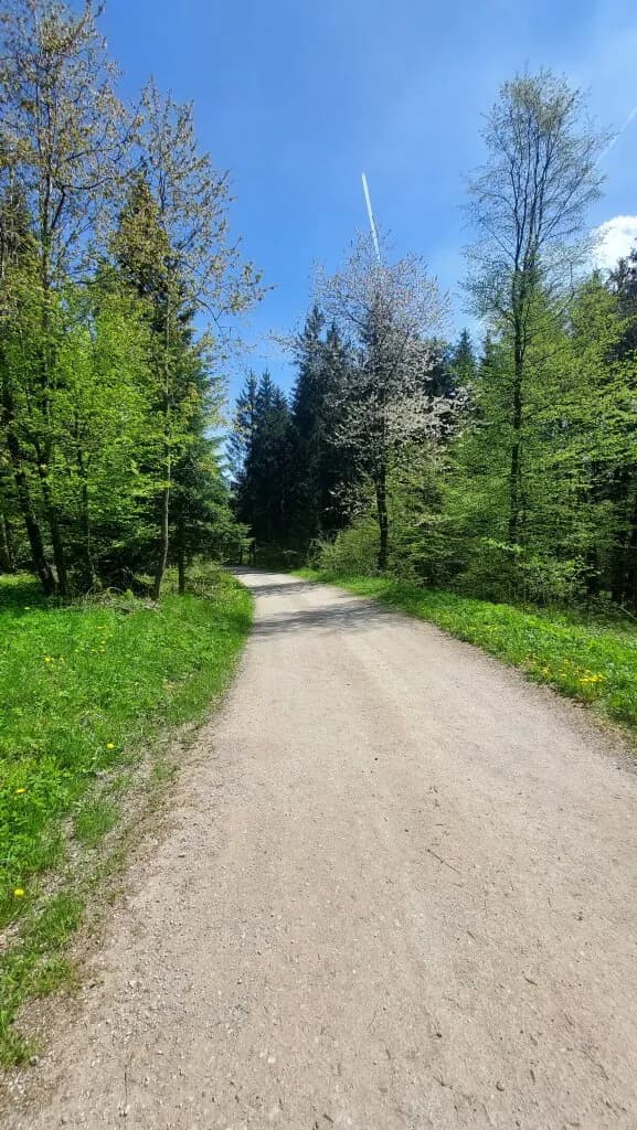40-Zimmer-Gewerbeimmobilie kaufen in Baden – 600 m², € 495.000 – Bild 8 von 19