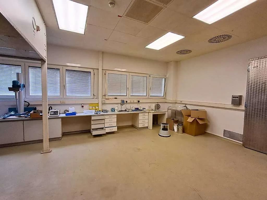 Gewerbeimmobilie mieten in Wien – 156 m² – Bild 5 von 7
