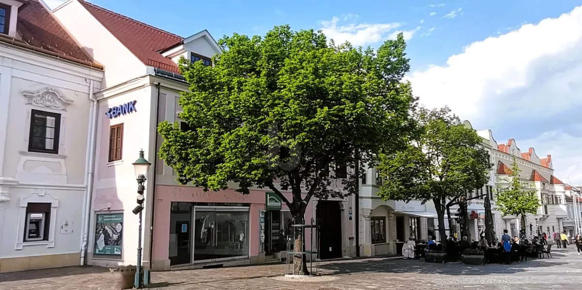 6-Zimmer-Gewerbeimmobilie mieten in Eisenstadt – 110 m², € 2.040