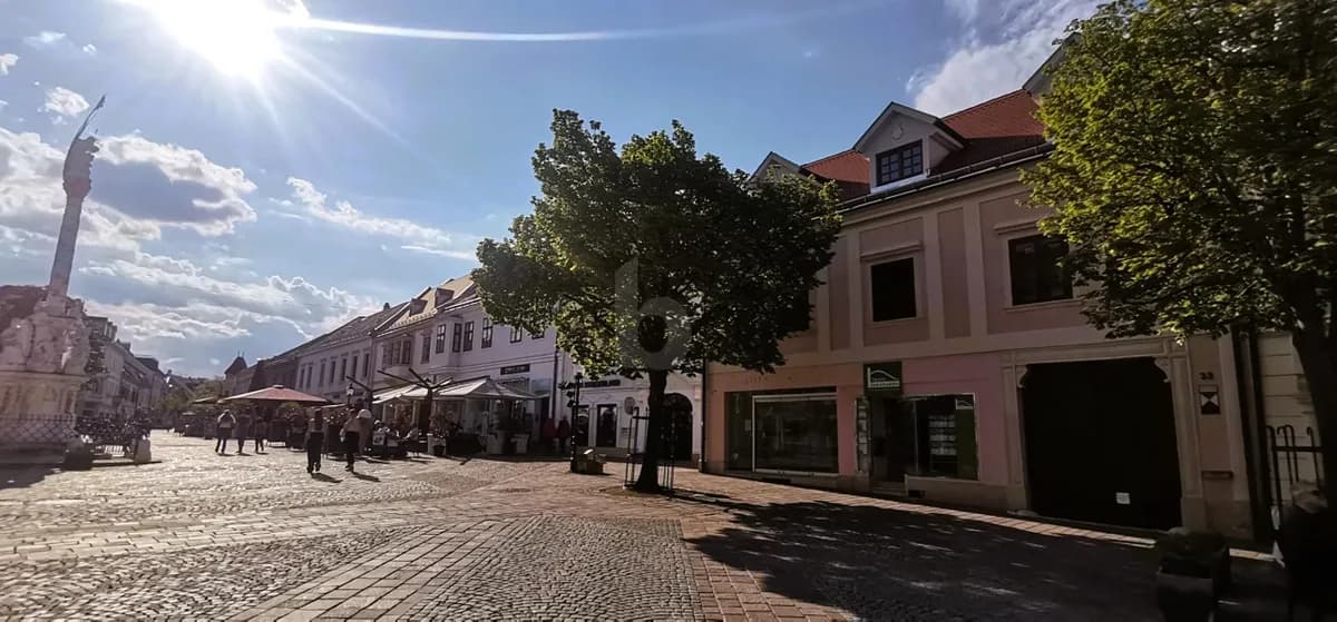 6-Zimmer-Gewerbeimmobilie mieten in Eisenstadt – 110 m², € 2.040 – Bild 2 von 6