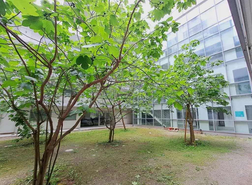 Gewerbeimmobilie mieten in Wien – 65 m² – Bild 2 von 7