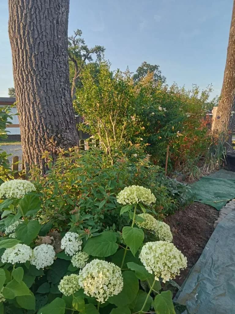 2-Zimmer-Wohnung kaufen in Südoststeiermark – 45 m², € 9.999 – Bild 3 von 20