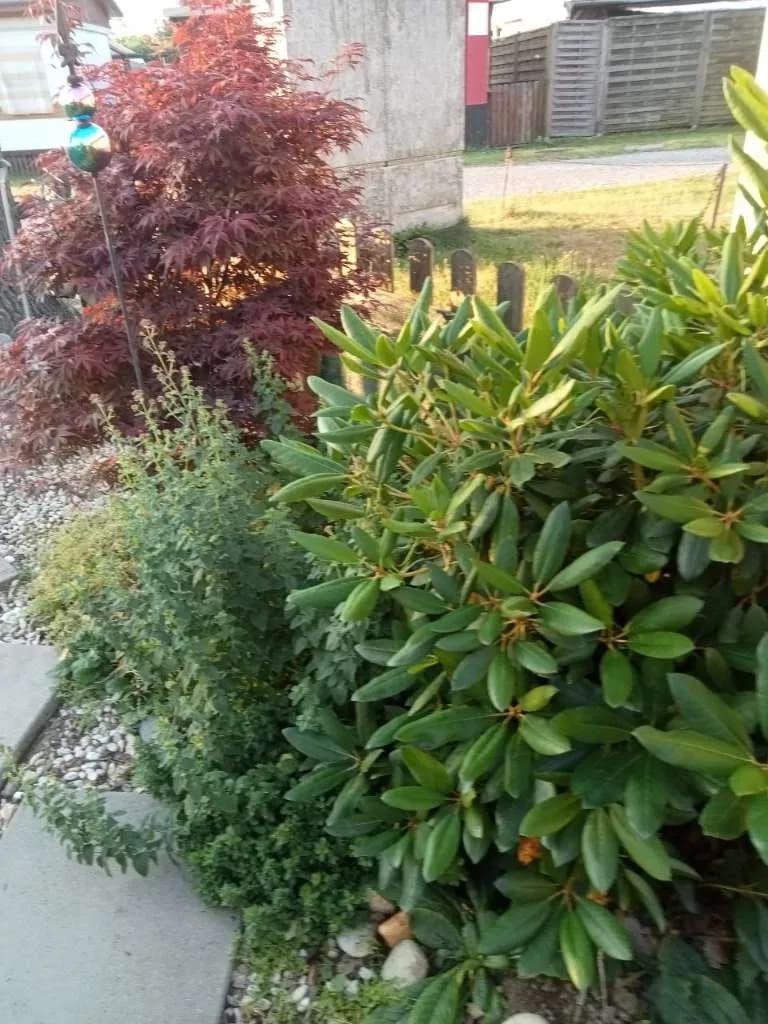 2-Zimmer-Wohnung kaufen in Südoststeiermark – 45 m², € 9.999 – Bild 5 von 20