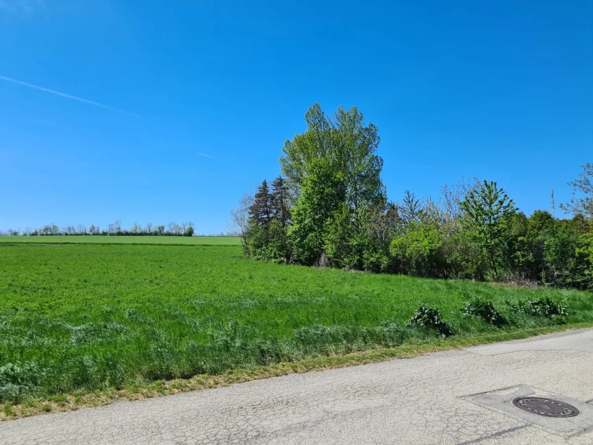 Grundstück kaufen in Eisenstadt - Umgebung – 1 517 m², € 309.000