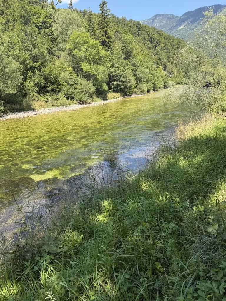 Immobilie kaufen in Villach Land – € 840.000 – Bild 5 von 8