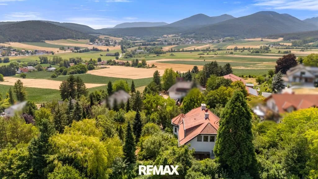 7-Zimmer-Haus kaufen in Baden – 249 m², € 1.399.000 – Bild 2 von 25