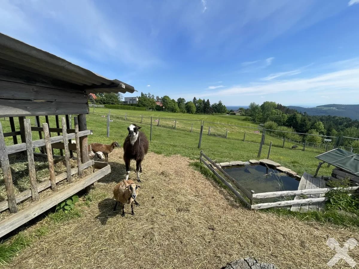 Haus kaufen in Graz-Umgebung – 400 m², € 590.000 – Bild 12 von 12