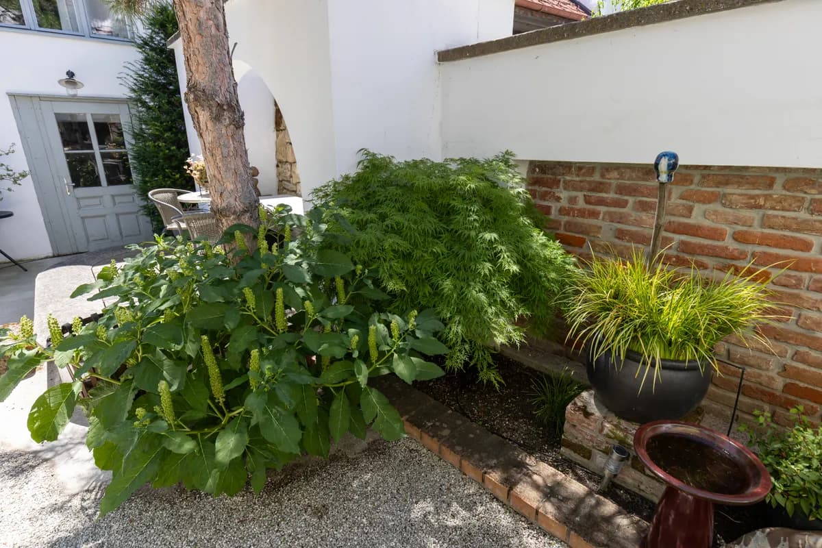 Gewerbeimmobilie kaufen in Eisenstadt – 378 m², € 1.398.000 – Bild 4 von 27