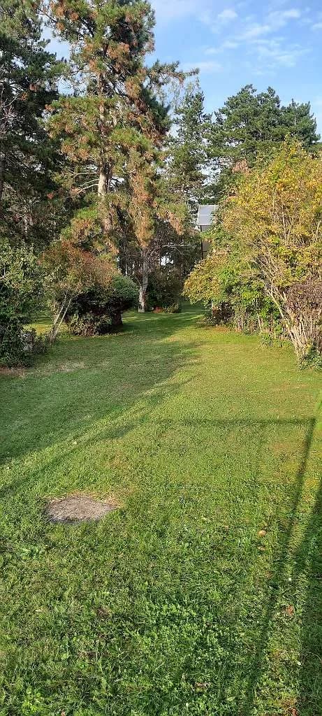 4-Zimmer-Haus kaufen in Gänserndorf – 110 m², € 441.815 – Bild 3 von 4