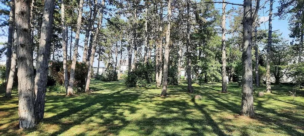 4-Zimmer-Haus kaufen in Gänserndorf – 110 m², € 441.815 – Bild 4 von 4