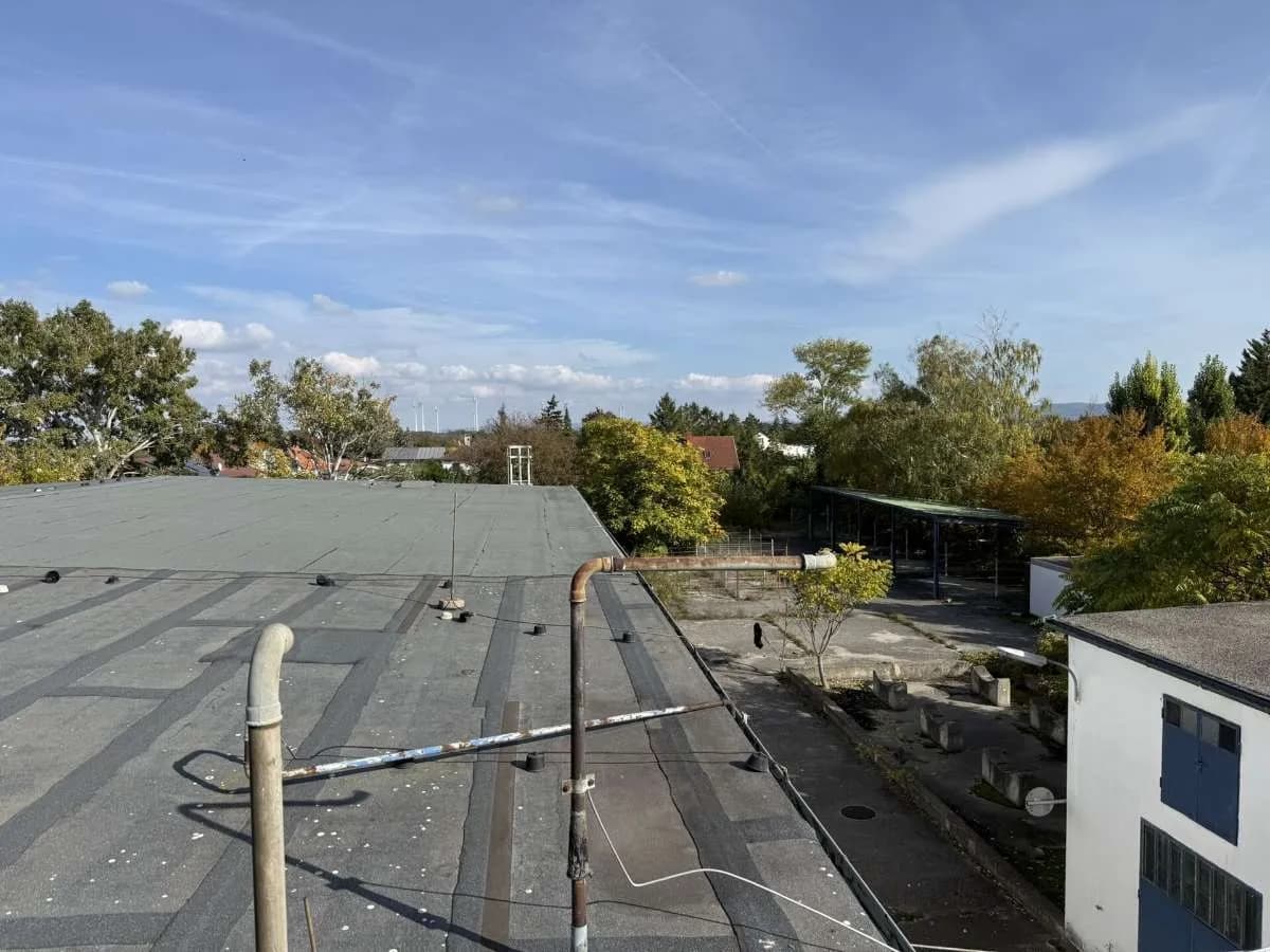 Grundstück kaufen in Baden – 16 000 m², € 2.720.000 – Bild 4 von 12