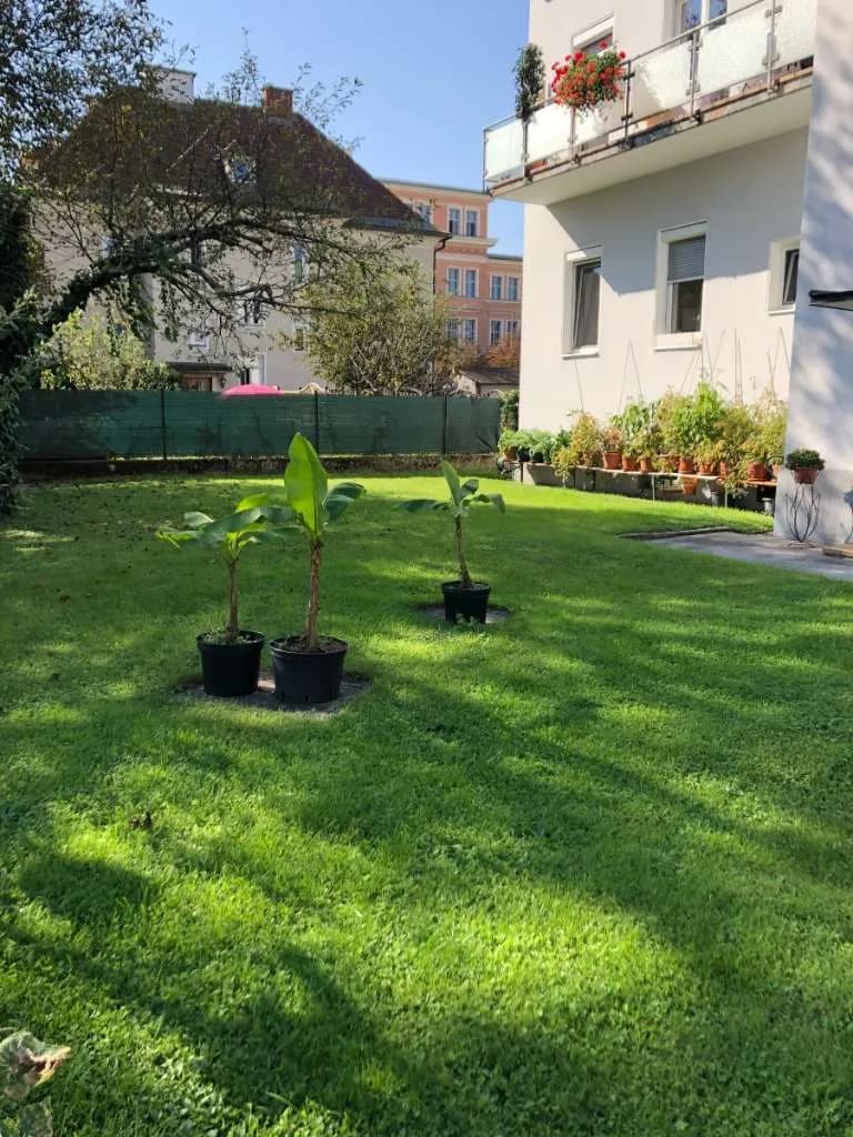 Immobilie kaufen in Klagenfurt – 388 m², € 1.000.000 – Bild 4 von 13