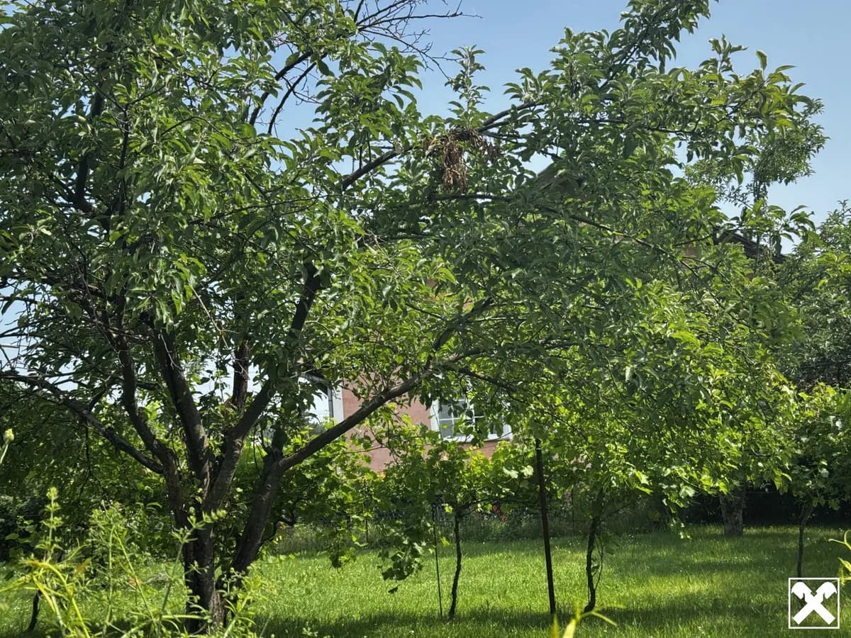 Grundstück kaufen in Neunkirchen – 677 m², € 129.000 – Bild 3 von 8