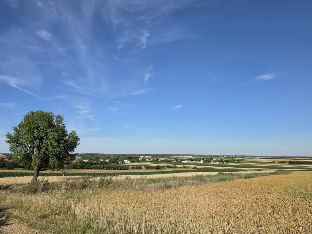 Grundstück kaufen in Neusiedl am See – 985 m², € 199.000 – Bild 2 von 3