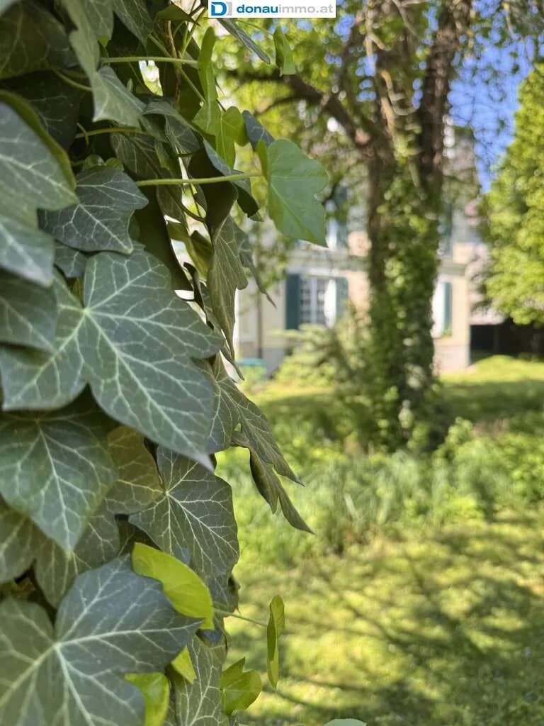 Immobilie kaufen in Sankt Pölten – 361 m², € 2.500.000 – Bild 31 von 34