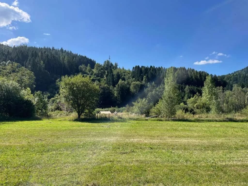Grundstück kaufen in Bruck-Mürzzuschlag – 7 840 m², € 398.000 – Bild 3 von 9