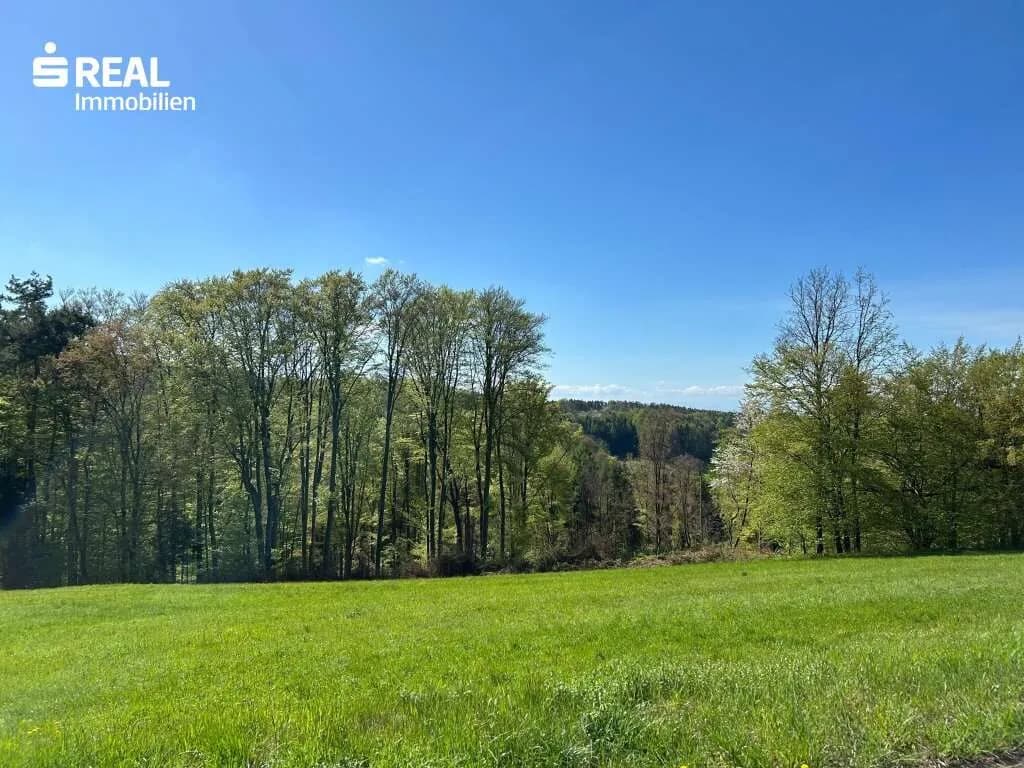 Grundstück kaufen in Graz-Umgebung – 8 799 m², € 385.000