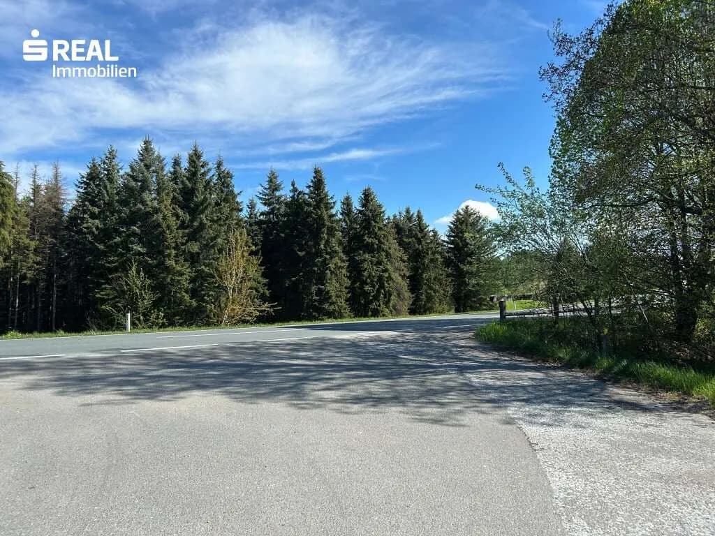 Grundstück kaufen in Graz-Umgebung – 8 799 m², € 385.000 – Bild 4 von 4