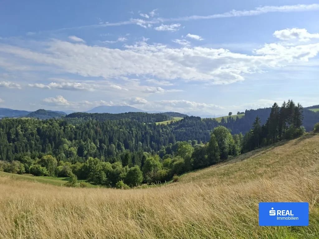 Haus kaufen in Wolfsberg – 243 795 m², € 650.000 – Bild 11 von 15