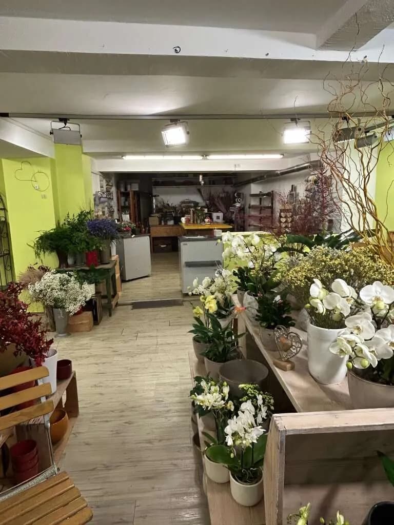 Immobilie kaufen in Kufstein – 198 m², € 489.000 – Bild 4 von 16