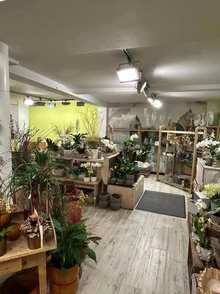 Immobilie kaufen in Kufstein – 198 m², € 489.000 – Bild 5 von 16