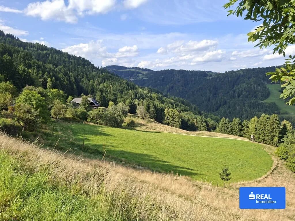 Grundstück kaufen in Wolfsberg – 243 795 m², € 650.000