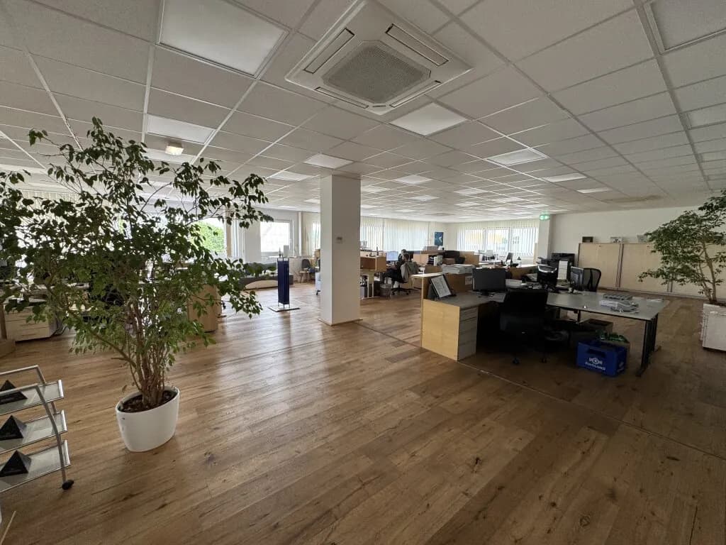 6-Zimmer-Gewerbeimmobilie mieten in Linz – 808 m², € 11.487 – Bild 6 von 23