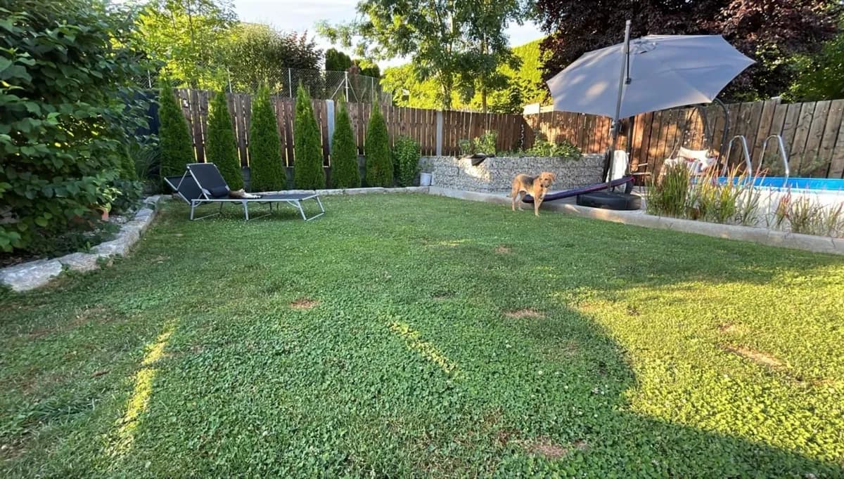Haus kaufen in Perg – 112 m², € 289.000 – Bild 11 von 14