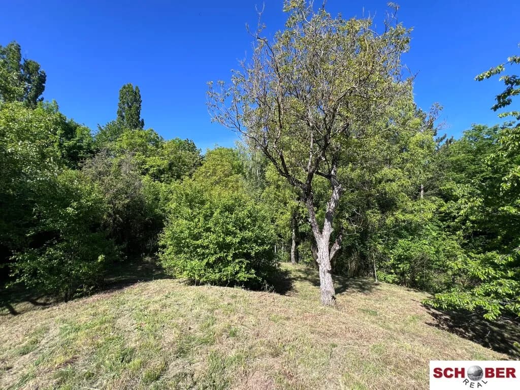 Grundstück kaufen in Baden – 2 061 m², € 590.000 – Bild 7 von 14