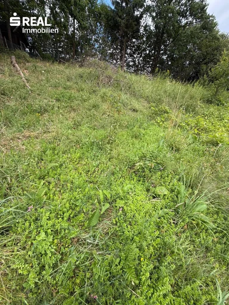 Grundstück kaufen in Bruck-Mürzzuschlag – 1 086 m², € 69.000 – Bild 8 von 11