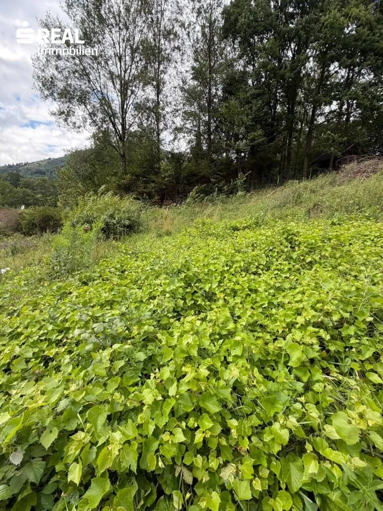 Grundstück kaufen in Bruck-Mürzzuschlag – 1 086 m², € 69.000 – Bild 10 von 11
