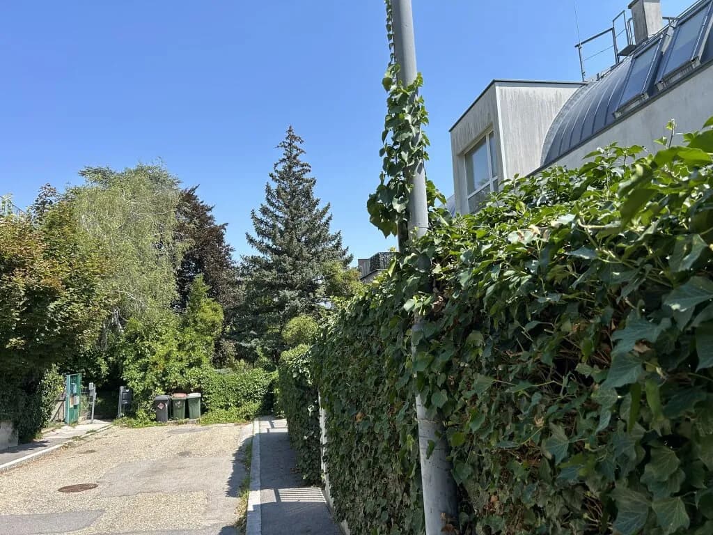 1-Zimmer-Wohnung mieten in Wien – 46 m², € 780 – Bild 13 von 13