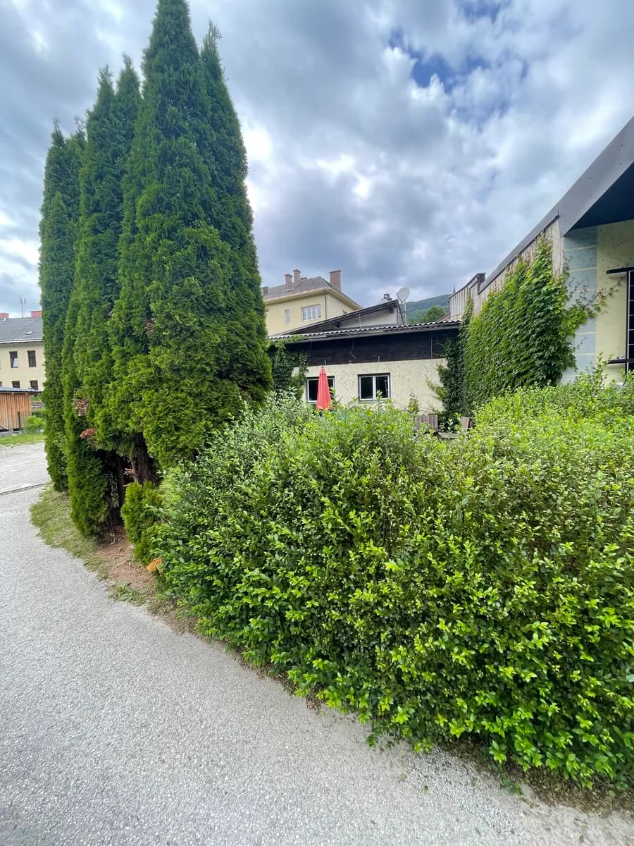 17-Zimmer-Immobilie kaufen in Lilienfeld – 570 m², € 585.000 – Bild 29 von 31
