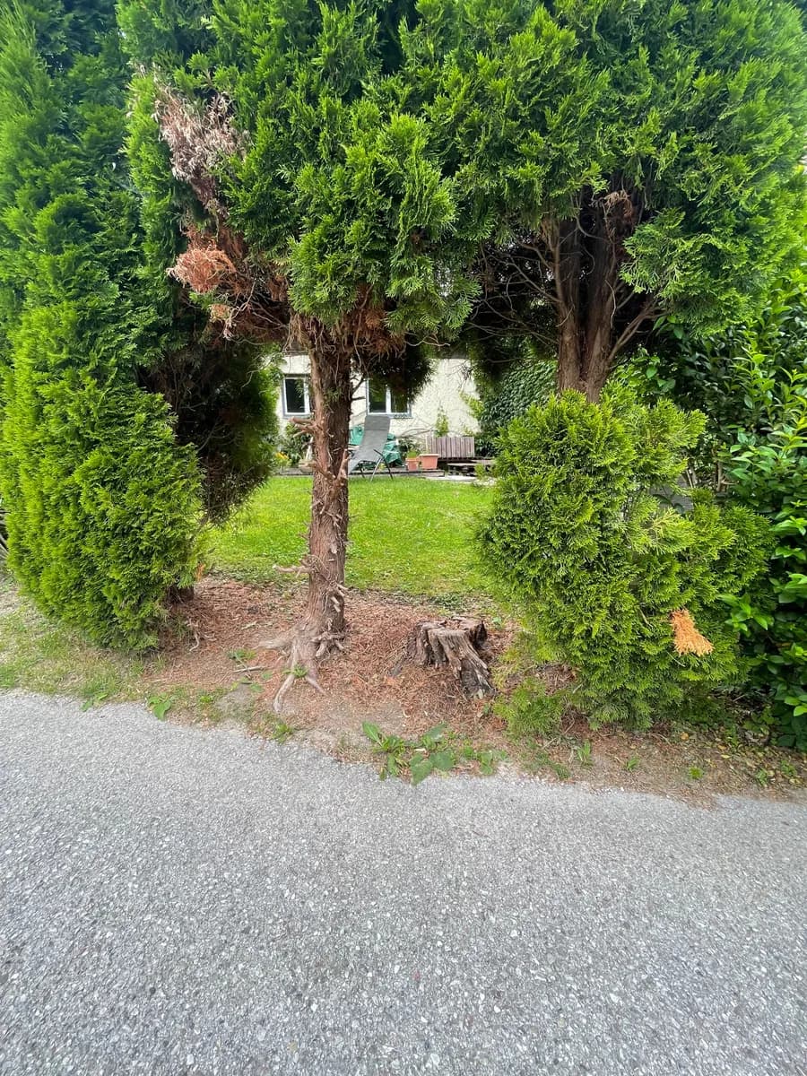 17-Zimmer-Immobilie kaufen in Lilienfeld – 570 m², € 585.000 – Bild 31 von 31