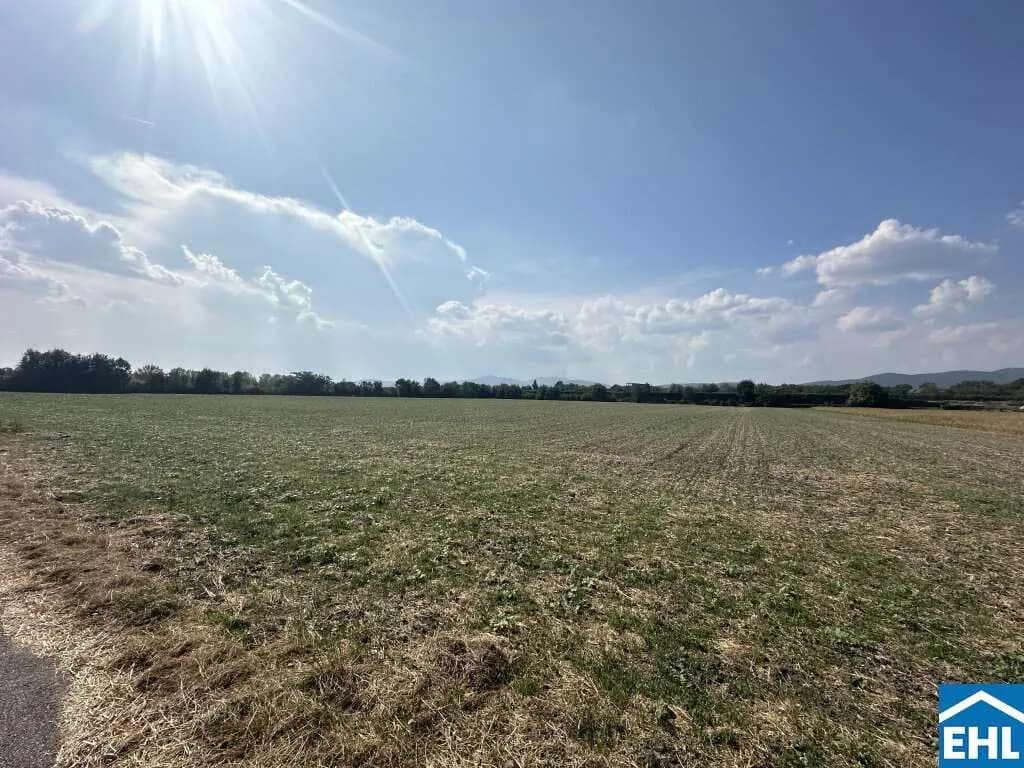 Immobilie kaufen in Baden – 117 965 m² – Bild 4 von 8