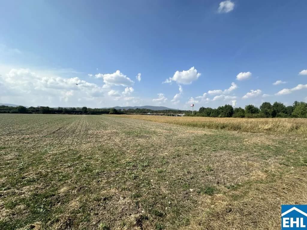Immobilie kaufen in Baden – 117 965 m² – Bild 5 von 8