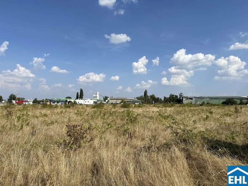 Immobilie kaufen in Baden – 117 965 m² – Bild 6 von 8