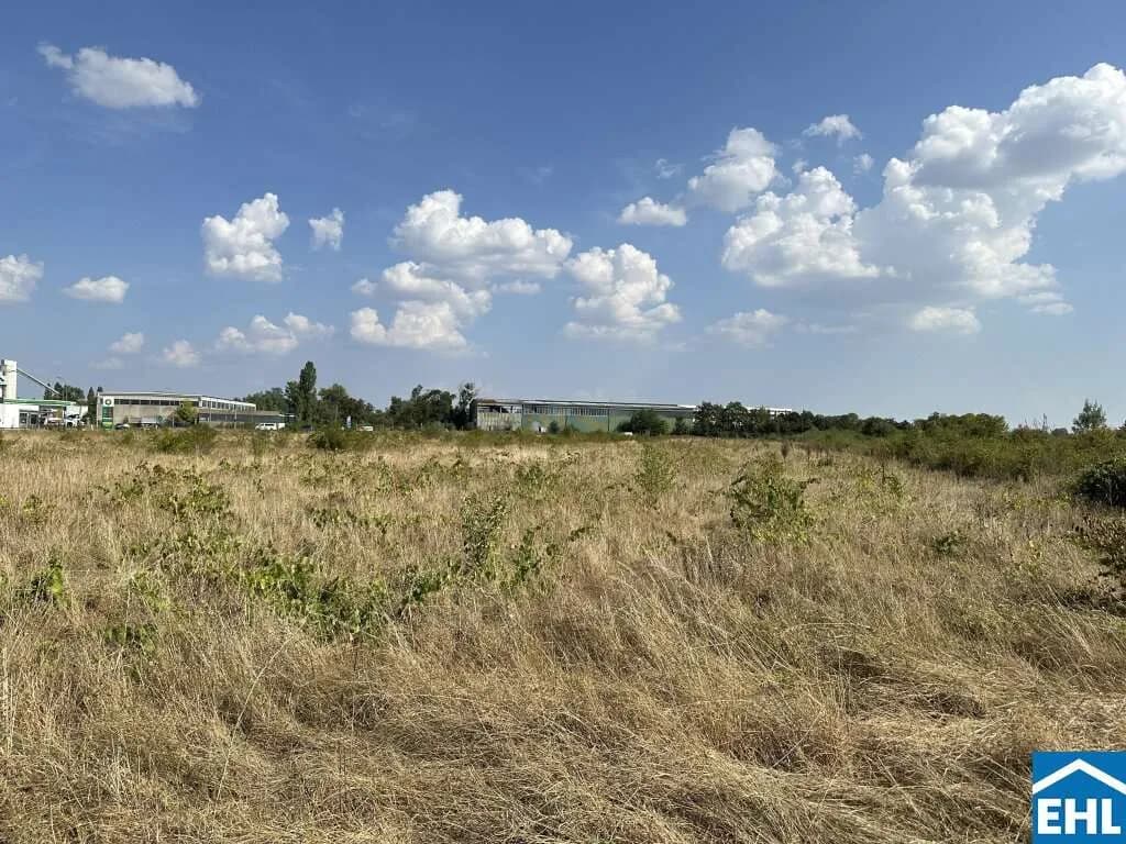 Immobilie kaufen in Baden – 117 965 m² – Bild 7 von 8