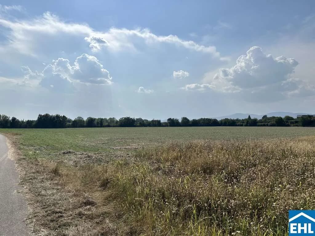 Immobilie kaufen in Baden – 117 965 m² – Bild 8 von 8