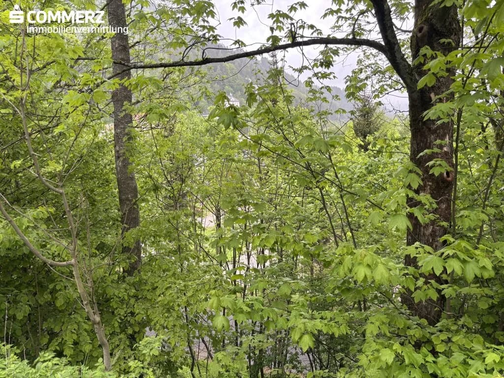 Grundstück kaufen in Neunkirchen – 3 551 m², € 150.000 – Bild 3 von 5