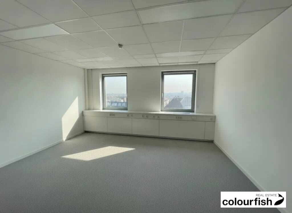Gewerbeimmobilie mieten in Wien – 244 m², € 4.970 – Bild 3 von 4