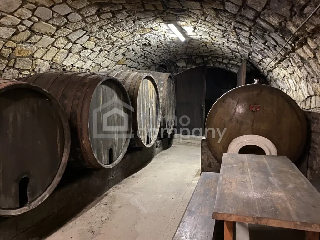 Immobilie kaufen in Neusiedl am See – 310 m², € 395.000