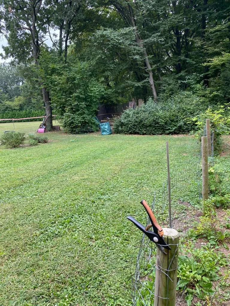 Grundstück mieten in Eisenstadt - Umgebung – 1 078 m², € 6 – Bild 5 von 23