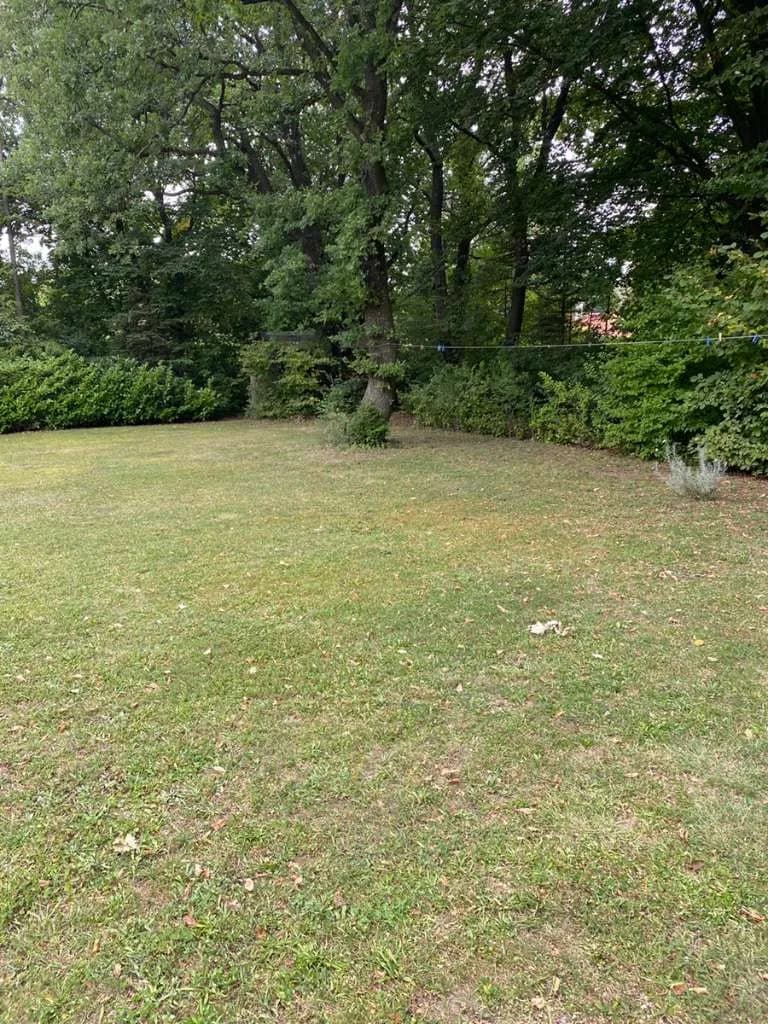 Grundstück mieten in Eisenstadt - Umgebung – 1 078 m², € 6 – Bild 7 von 23