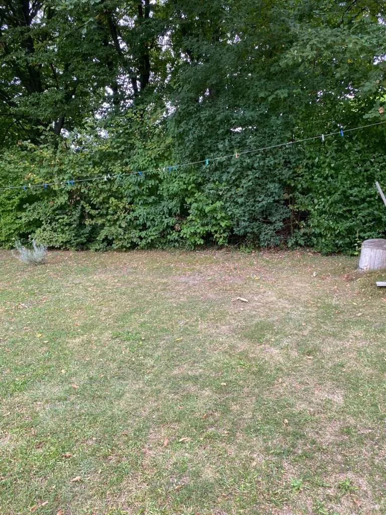 Grundstück mieten in Eisenstadt - Umgebung – 1 078 m², € 6 – Bild 8 von 23