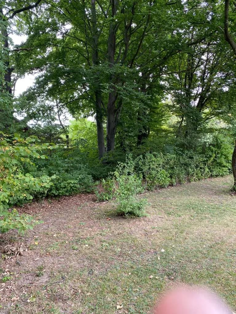 Grundstück mieten in Eisenstadt - Umgebung – 1 078 m², € 6 – Bild 10 von 23